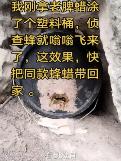 #内容启发搜索 #谌蜜 #诱蜂桶 #蜂腊 家人们，养蜂难题轻松破！我刚拿蜂蜡涂了个塑料桶，还没反应过来呢，侦查蜂就嗡嗡飞来了，这效果， 这蜂蜡是老脾诱蜂腊，纯度高、味正，诱蜂快准狠！新手老手都能用，轻