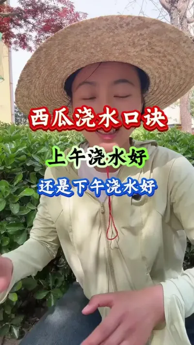 西瓜种植 西瓜浇水口诀 #西瓜管理 #西瓜种植 #西瓜高产