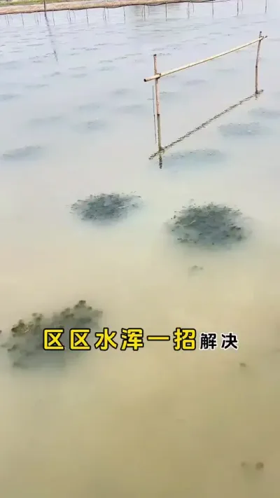 区区水浑不要搞得那么麻烦。#大闸蟹养殖 #螃蟹养殖 #河蟹养殖 #鱼虾蟹养殖 #三农 @DOU+小助手