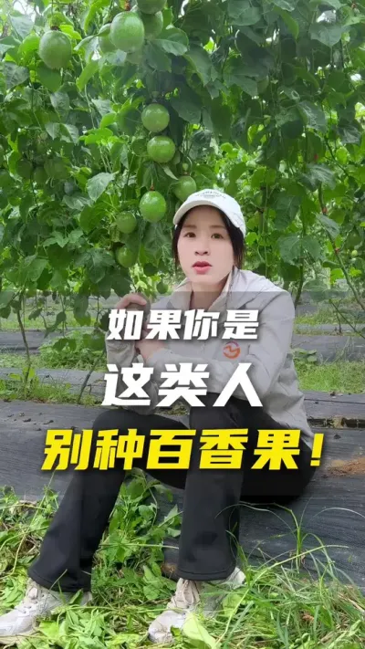 什么样的人不适合种植百香果？如果有我说的三点以上，那就不太适合啦～#百香果#农业种植#抖音助农