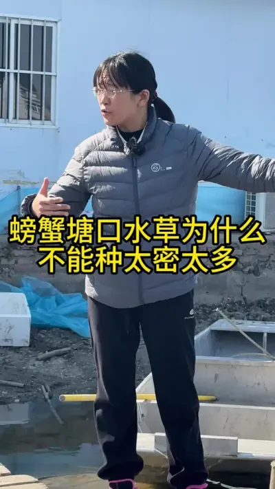 螃蟹塘口水草为什么不能种太密太多！！！ #渔多多养殖模式 #河蟹养殖 #水产养殖 #三农 #抖音助农
