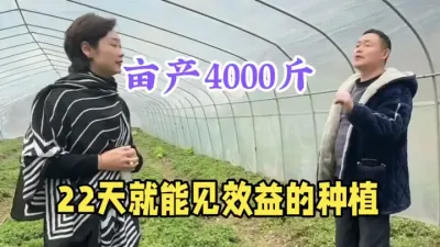 从种到收22天，亩产4000斤，5元1斤不愁销，一年能收多季 #农业种植致富项目 #抖音助农 #三农 #农村创业 #新农人计划