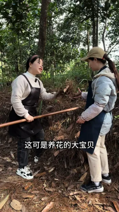 营养土不用花钱买，教你在家自己制作 #营养土 #花卉绿植 #养花小知识
