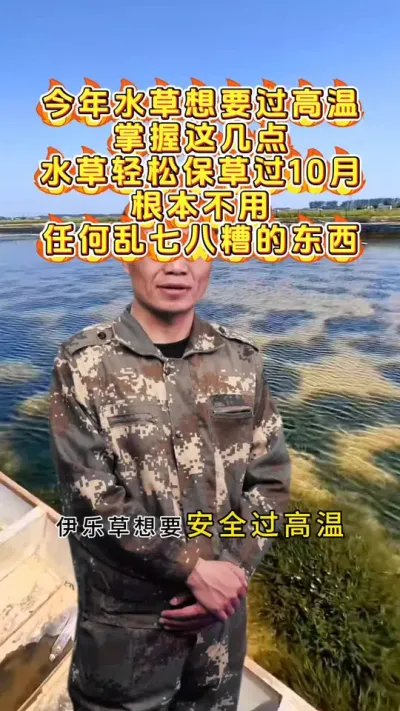 今年想要水草过高温，掌握好这几点，根本不用乱七八糟的东西。#螃蟹养殖 #鱼虾蟹养殖 #河蟹养殖 #大闸蟹养殖 #三农 @DOU+小助手