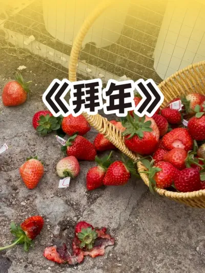 来摘点年货 拜个早年🍓#每次吃草莓时的你 #盆栽草莓 #记录我的种植生活 #绿色生态农业  #三农