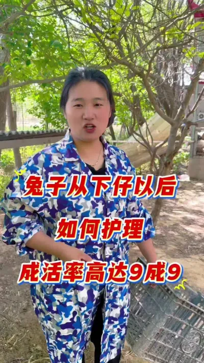 兔子从吃料这样喂，全程不扔一只兔子，远离兔丙拉稀#兔子 #养兔人 #肉兔养殖 #兔子养殖 #科学养兔