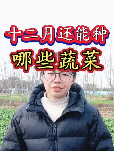 十二月份还能种哪些蔬菜呢？#十二月种什么菜 #冬季蔬菜 #蔬菜种植 #三农 #农业