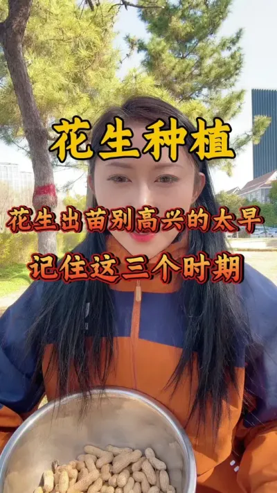花生想要高产，一定要在出苗15天后喷施#花生种植 #花生 #花生高产 #种花生#新农人计划2025