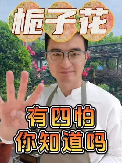 栀子花有四怕，看懂才能养好它！#养花 #栀子花 #硫酸亚铁
