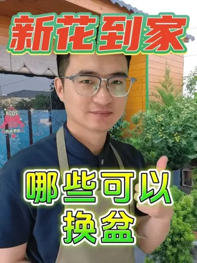 新花到家，哪些可以换盆，哪些不能瞎折腾？ #养花  #换盆  #养花小知识