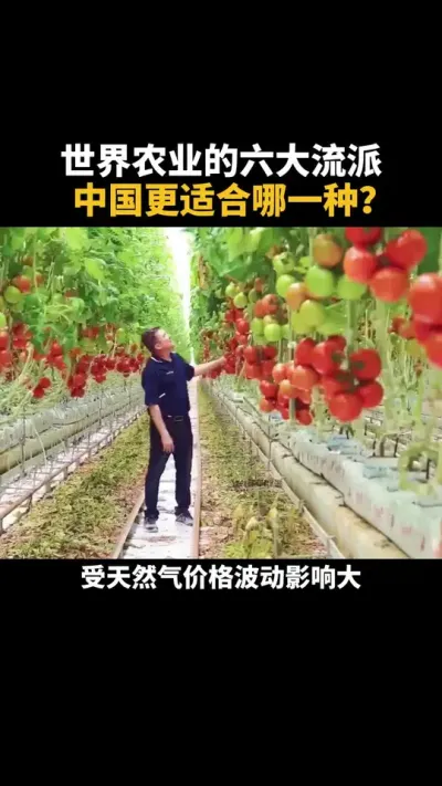 世界农业的六大流派，中国更适合哪一种？ #农业 #乡村振兴 #三农 #服务三农 #万物皆可种草搜