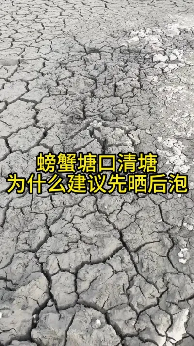 螃蟹塘口清塘，为什么建议先晒塘后泡塘！！！！ #渔多多养殖模式 #新农人计划2024 #大闸蟹养殖 #三农 #水产养殖技术