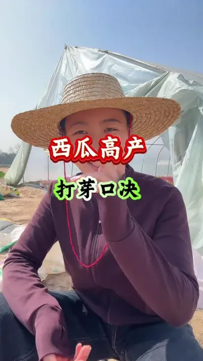西瓜种植 西瓜高产打芽口诀 #西瓜种植 #西瓜管理 #西瓜种植