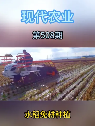 水稻免耕种植 #服务三农支持三农 #现代农业机械 #农业种植 #抖音助农 #水稻种植