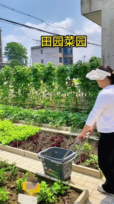 田园菜园#田园生活小院 #农村生活 #新农村建设 #农村菜园 #花园改造