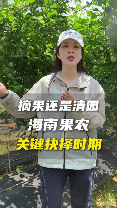 如果你的百香果树上还挂着很多果，你是清园还是继续留果？#农业种植 #百香果#百香果种植#抖音助农#三农