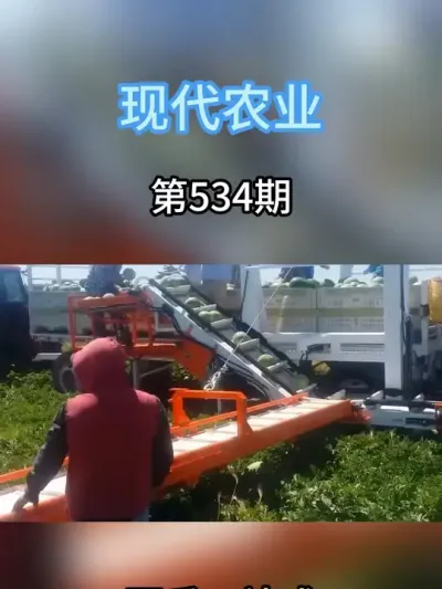 从摘西瓜到打包售卖，一站式解决 #抖音助农 #新农人计划 #农业种植 #原产地采购 #助力三农