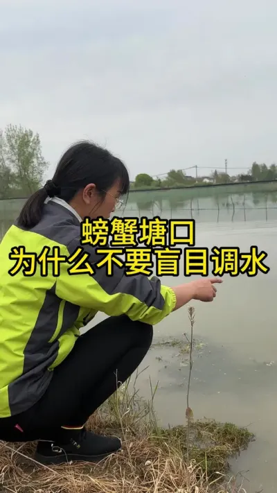 螃蟹塘口，为什么不要盲目调水！！！！ #渔多多养殖模式 #水产养殖 #河蟹养殖 #三农 #大闸蟹养殖