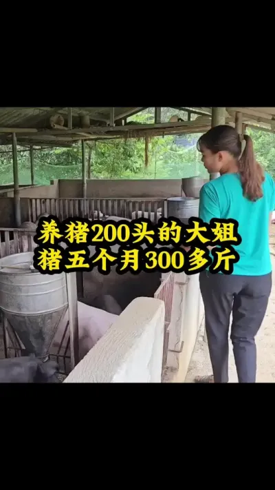 #每天分享养殖技术和经验 #猪喂什么饲料长得最快 #每天分享实战养猪经验 #所有养猪人 #喂猪人的日常生活不容易