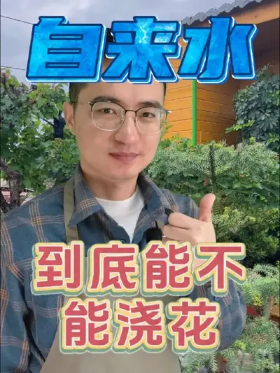 自来水到底能不能浇花?#养花 #花卉绿植 #补酸 #硫酸亚铁