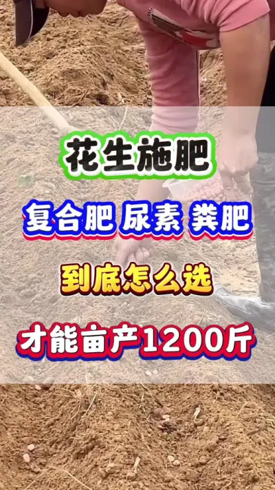 花生施肥复合肥，尿素粪肥，到底该如何选择，才能亩产1200斤？#花生种植 #花生高产 #花生施肥 #花生种植管理技术 #增产增收小配方