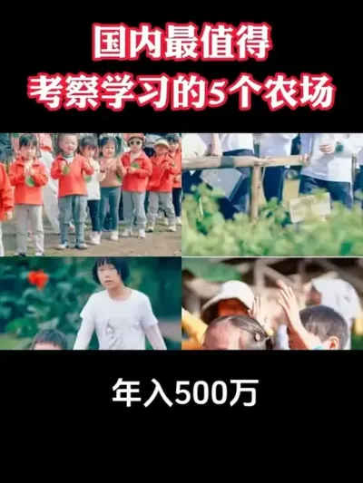 国内最值得考察学习的五个农场#乡村振兴 #乡村扶持#家庭农场