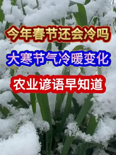 今年春节还会冷吗大寒节气冷暖变化农业谚语早知道 #农业谚语 #农业种植 #农谚 #三农 #分享农业知识帮农民增产增收