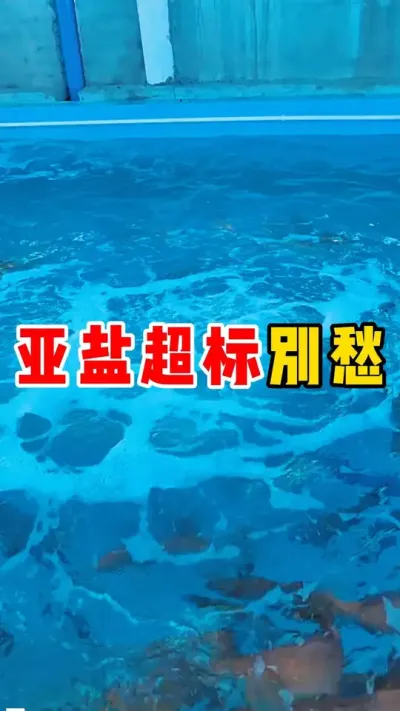 亚盐超标別愁##高密度养殖 #石斑鱼 #水产养殖 #养鱼#这下大家总该记住石斑鱼了吧 @抖加🔥上热门🔥dou+🔥热点宝  @DOU+小助手 