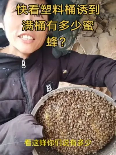 #内容启发搜索 #谌蜜 #诱蜂桶#诱蜂 #养蜂技术分享 ，塑料桶诱蜂也一样，这样满塑料桶蜜蜂得有多少啊？@抖音小助手 @DOU+小助手