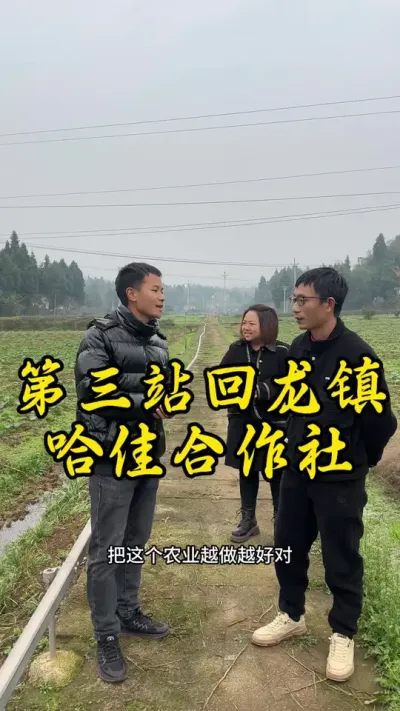 今天第三站来到大足区回龙镇哈佳姐的基地参观学习，基础设施做的不错，向他们学习，也希望他们的农业路越来越好！#返乡创业新农人 #记录我的种植生活