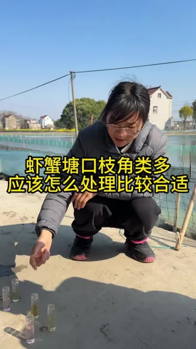 虾蟹塘口枝角类多应该怎么处理比较合适！！！ #渔多多养殖模式 #水产养殖 #河蟹养殖 #三农 #大闸蟹养殖