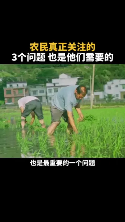 农民真正关心的3个问题 #农村 #农民 #三农 #乡村振兴 #乡村产业