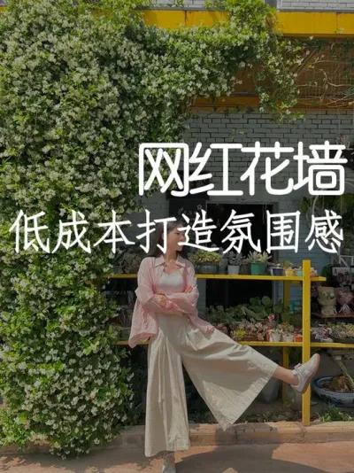 春天一定是和花墙最配！ #小院改造 #小院时光 #氛围感 #网红打卡地 #天雅设计