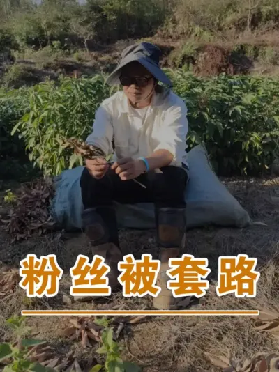 粉丝被旧车换新车套路了#广西灵山荔枝果苗#农业创业#抖音新农人计划2025#吕老师种果苗