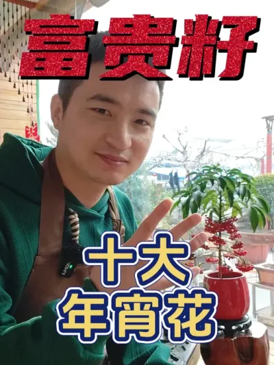 十大最爱欢迎的年宵花之富贵籽！ #养花  #年宵花  #新年快乐