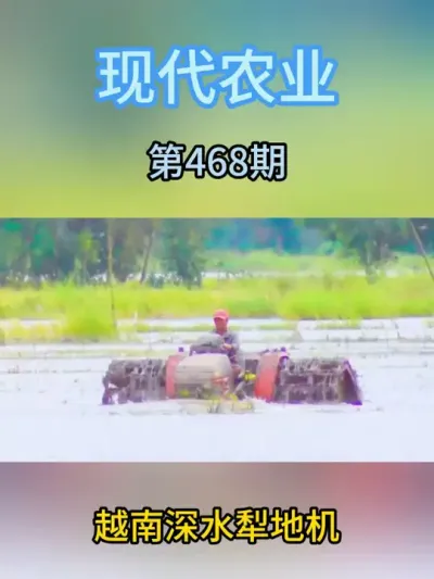 越南深水犁地机 #犁地机 #智慧农机 #农业机械 #水稻 #稻田