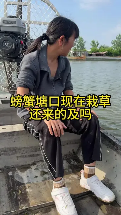 螃蟹塘口现在栽草还来得及吗！！！！ #渔多多养殖模式 #水产养殖技术 #三农 #大闸蟹养殖 #螃蟹养殖