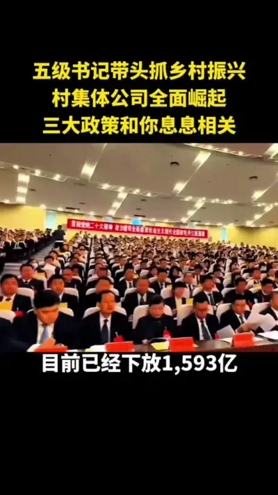 五级书记带头抓乡村振兴村集体公司全面崛起三大政策和你息息相关#乡村振兴#乡村扶持#休闲农业#家庭农场