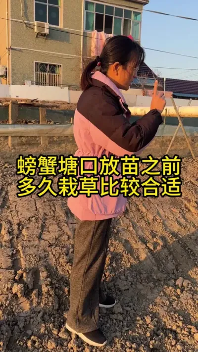 螃蟹塘口放苗之前什么时候栽草比较合适！！！！ #渔多多养殖模式 #河蟹养殖 #三农 #水产养殖技术 #大闸蟹养殖