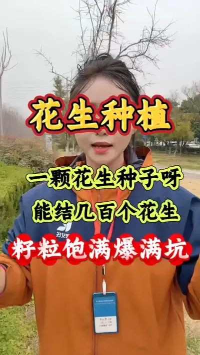 花生种植有技巧，轻松亩产过千斤，一颗结出一大窝！ #花生种植 #三农 #种植小技巧 #抖音助农 #农业种植技术