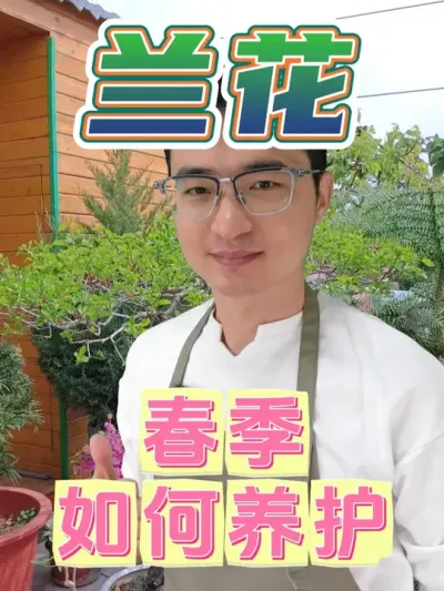 春季兰花进入快速生长期，要如何养护呢？ #养花  #兰花  #养花小知识