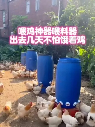 喂鸡神器喂料器，干净卫生好管理#养鸡 #自动喂鸡神器 #喂鸡神器 #农村散养土鸡 #养鸡技术