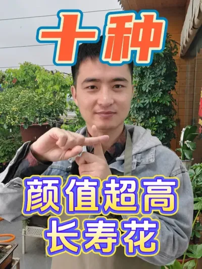 这十种颜值超高的长寿花，你家里有吗？ #养花 #花卉绿植 #长寿花
