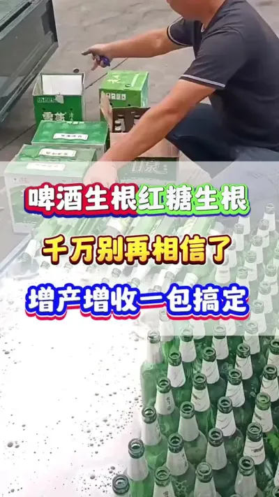 啤酒红糖能生根？千万别再相信了！#生根壮苗 #增产增收  #农业种植 #蔬菜种植 #种植小技巧