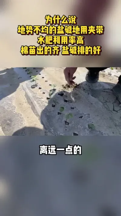 为什么地势不匀的盐碱地用夹带水肥利用率高！出苗齐！盐碱还排！ #棉花种植专家讲座 #棉花种植技术 #关注我每天分享种植知识 @抖音小助手