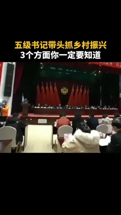 五级书记带头抓乡村振兴，3个方面你一定要知道 #乡村振兴 #助力乡村振兴 #乡村振兴dou行动 #农村 #服务三农支持三农