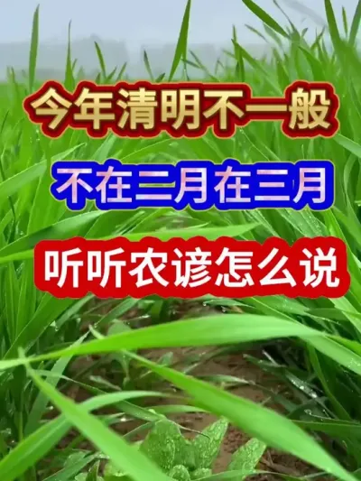 今年清明不一般不在三月在二月听听农谚怎么说 #农业谚语 #农谚 #清明 #清明节 #农业种植