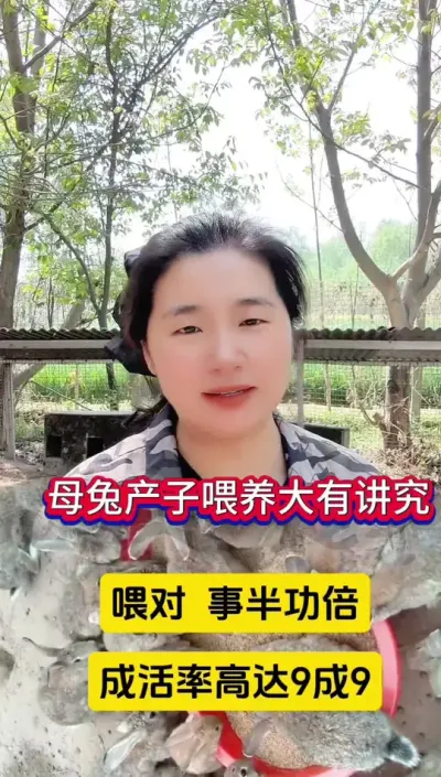 母兔喂养大有讲究，喂对，事半功倍，成活率高达9成9#兔子 #养兔人 #肉兔养殖 #科学养兔