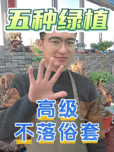 五种高级不落俗套的客厅绿植！ #养花 #花卉绿植 #客厅绿植