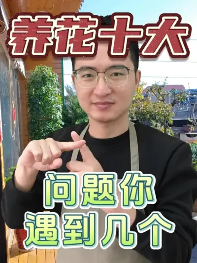 养花的十大问题，你遇到过几个？ #养花 #花卉绿植 #养花小知识
